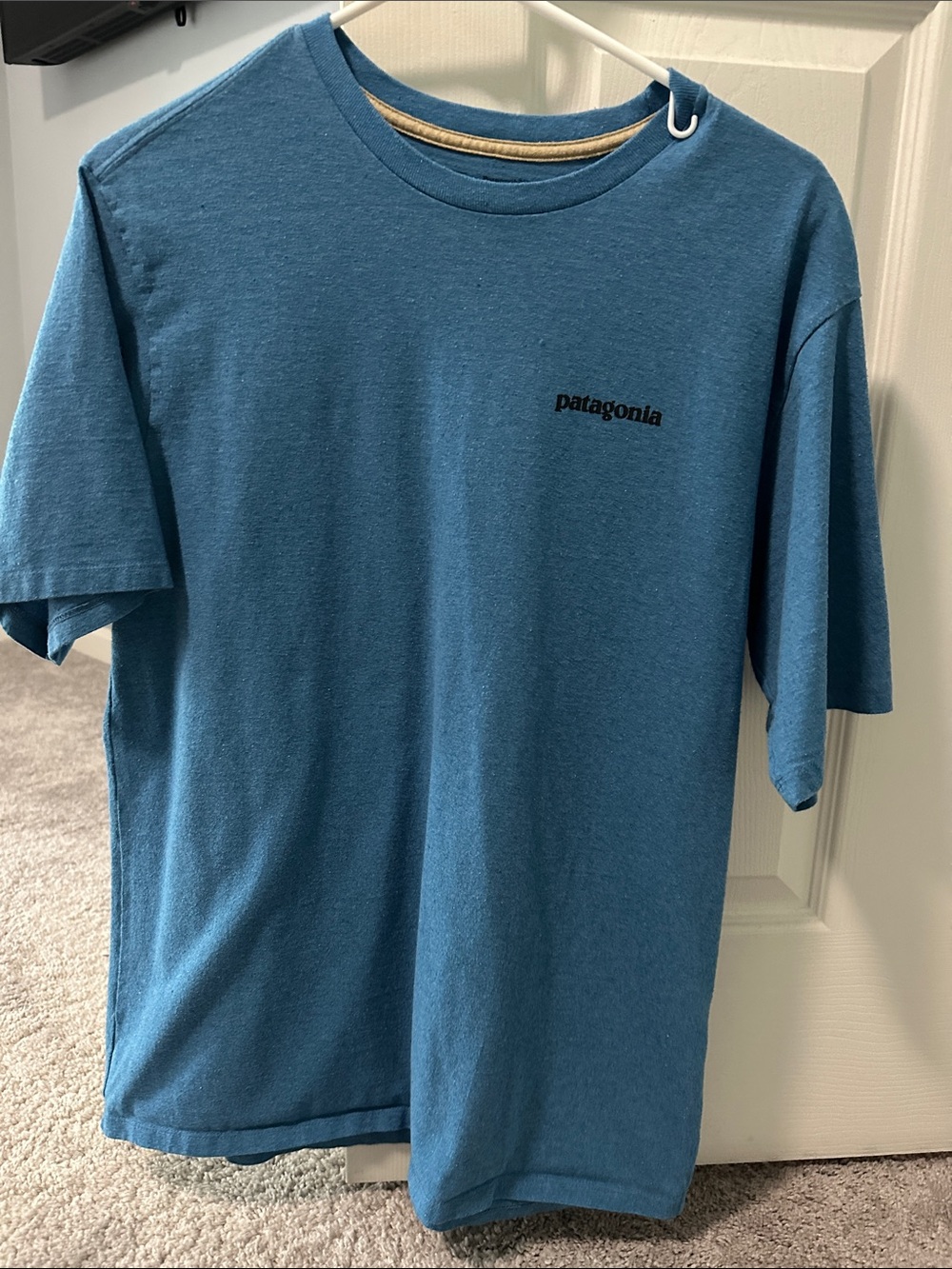 Patagonia Men’s Short-Sleeve Tee in Blue